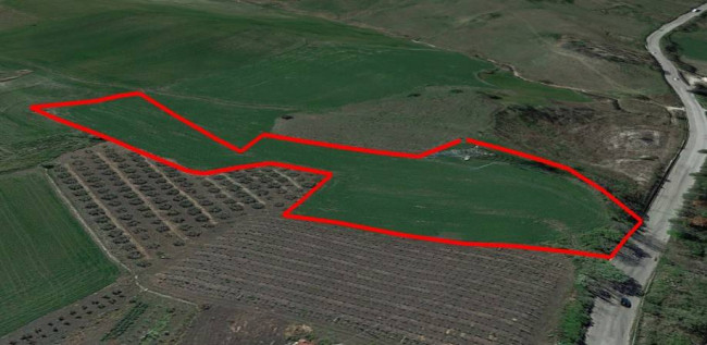 Terreno Agricolo in Vendita a Gissi