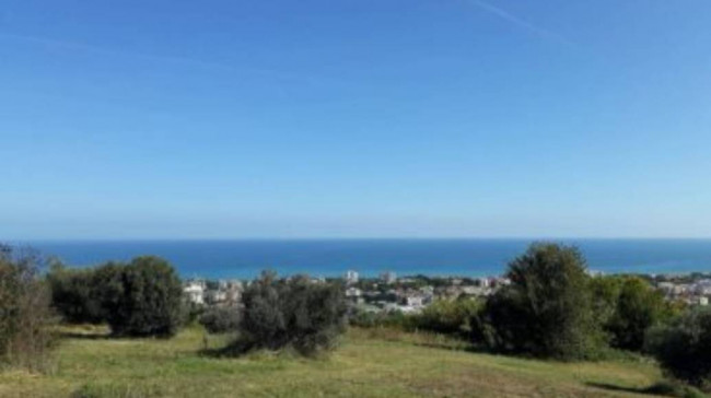 Terreno Agricolo in Vendita a Giulianova
