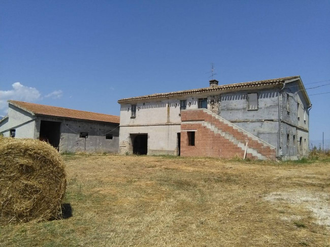 Rustico in Vendita a Bellante
