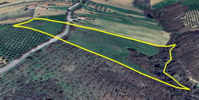 Terreno Agricolo in Vendita a Bellante