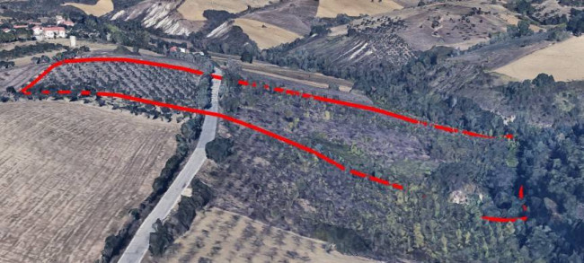Terreno Agricolo in Vendita a Bellante