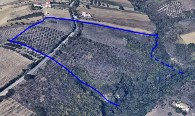 Terreno Agricolo in Vendita a Bellante