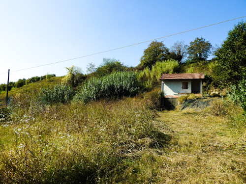 Rustico in Vendita a Sommariva Perno