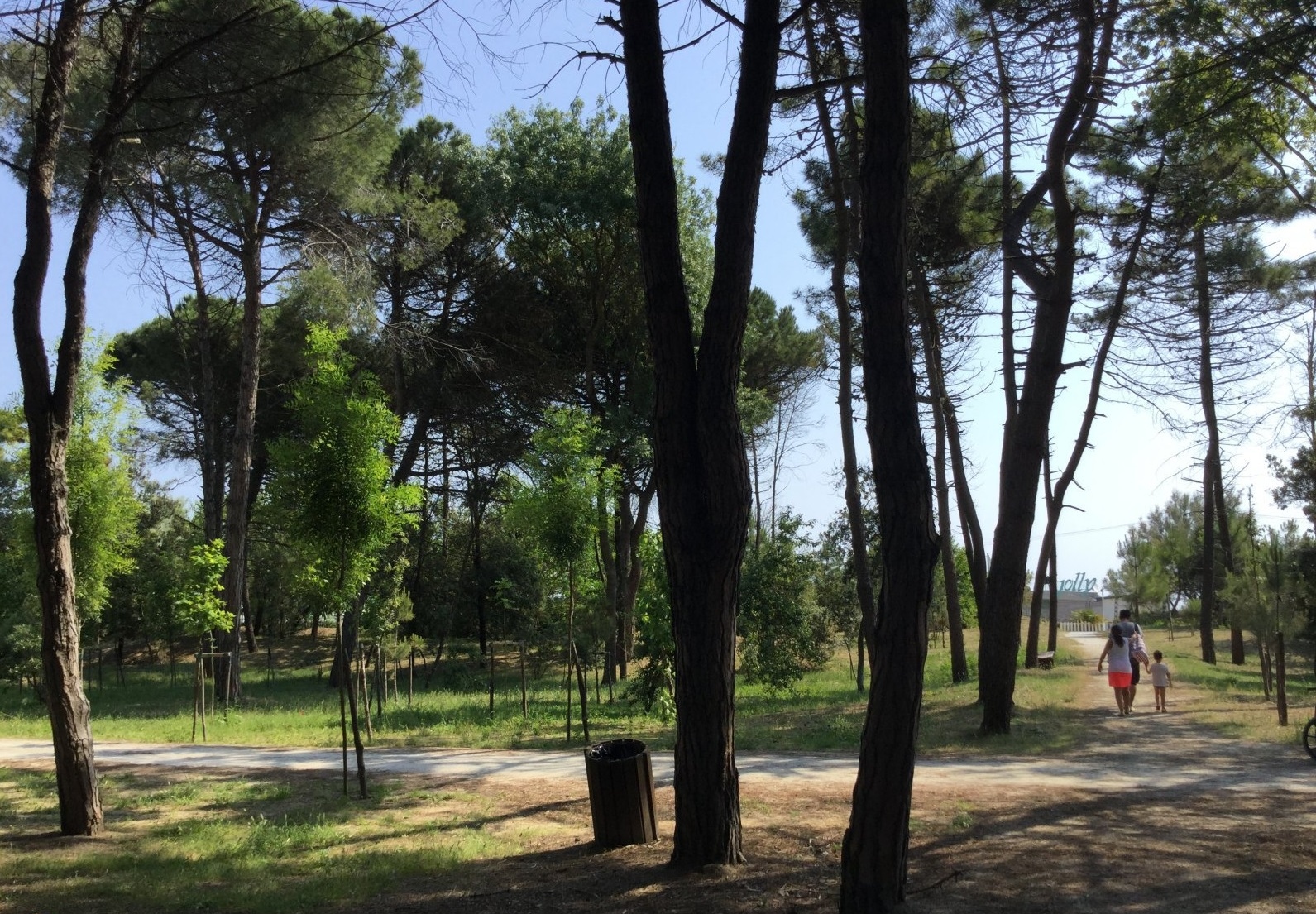  cervia vendita quart: tagliata le-note-di-casa