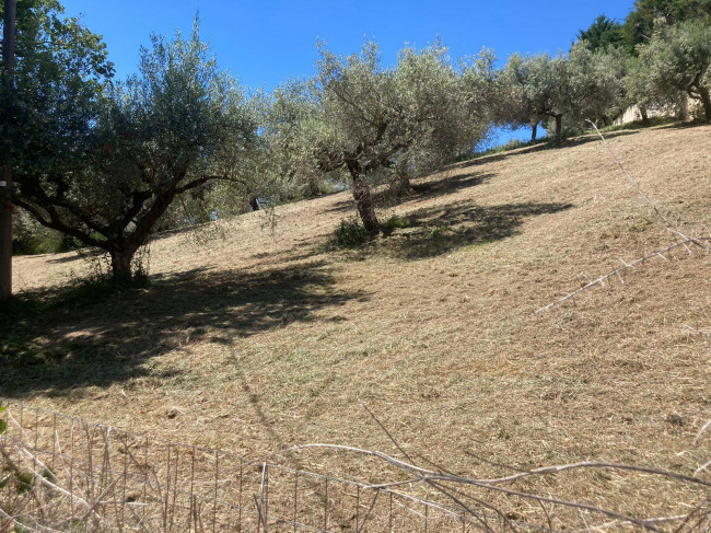Terreno edificabile in vendita a Montesilvano (PE)