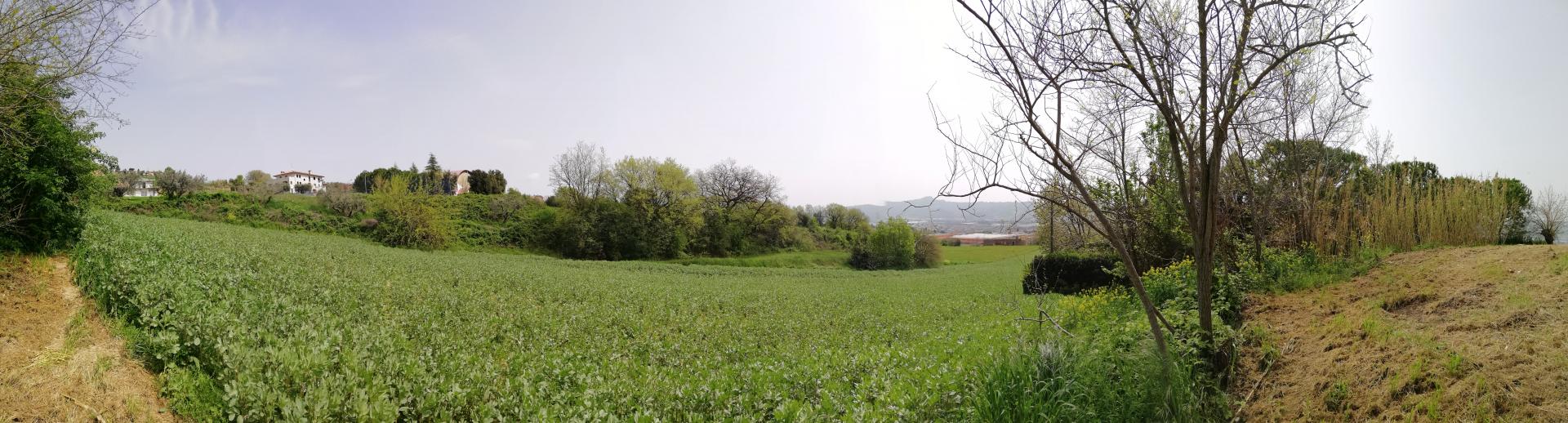 Rustico - Cascina MONSAMPOLO DEL TRONTO vendita  Monsampolo  Oggi Trovo Casa