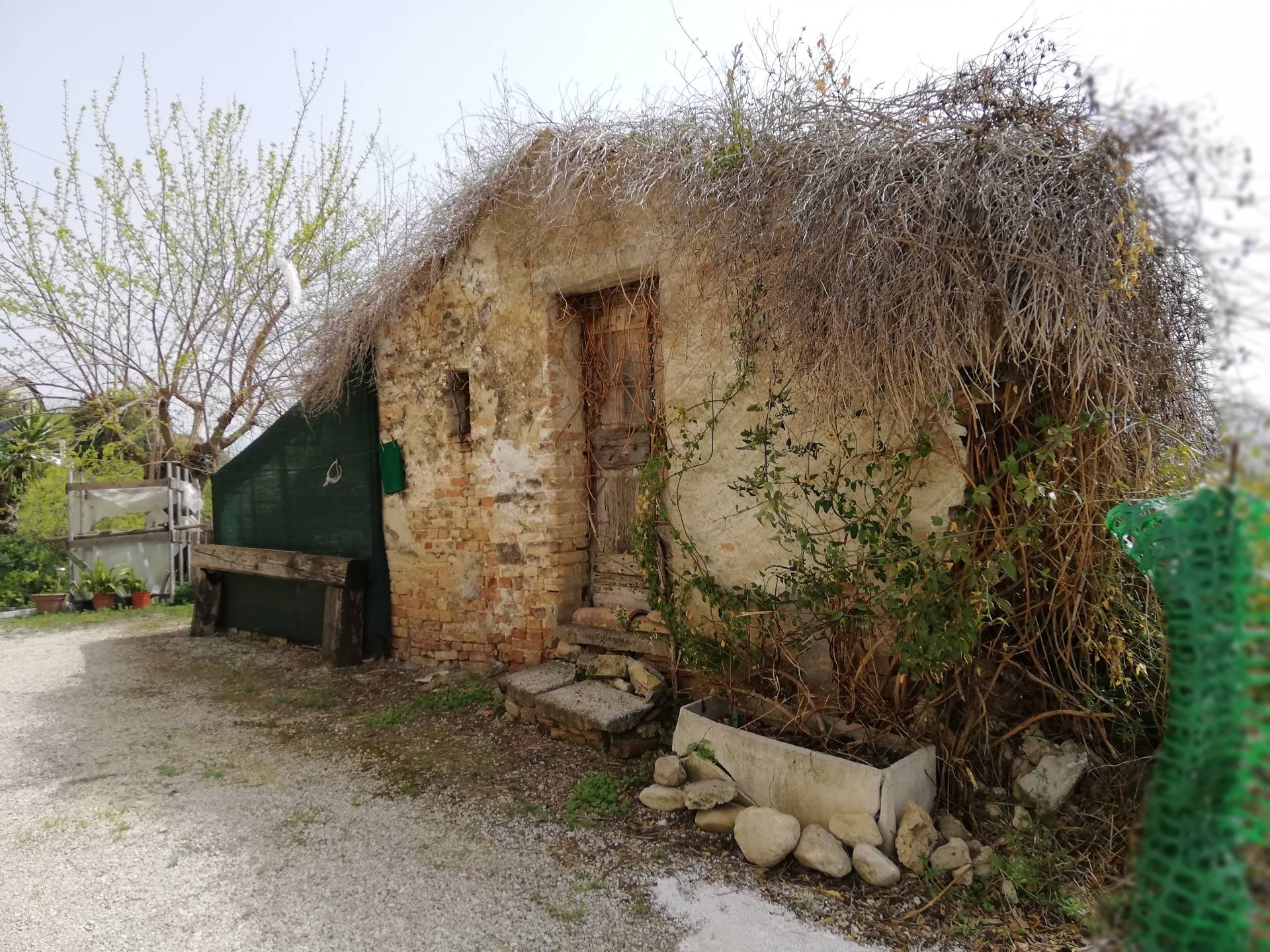 Rustico - Cascina MONSAMPOLO DEL TRONTO vendita  Monsampolo  Oggi Trovo Casa