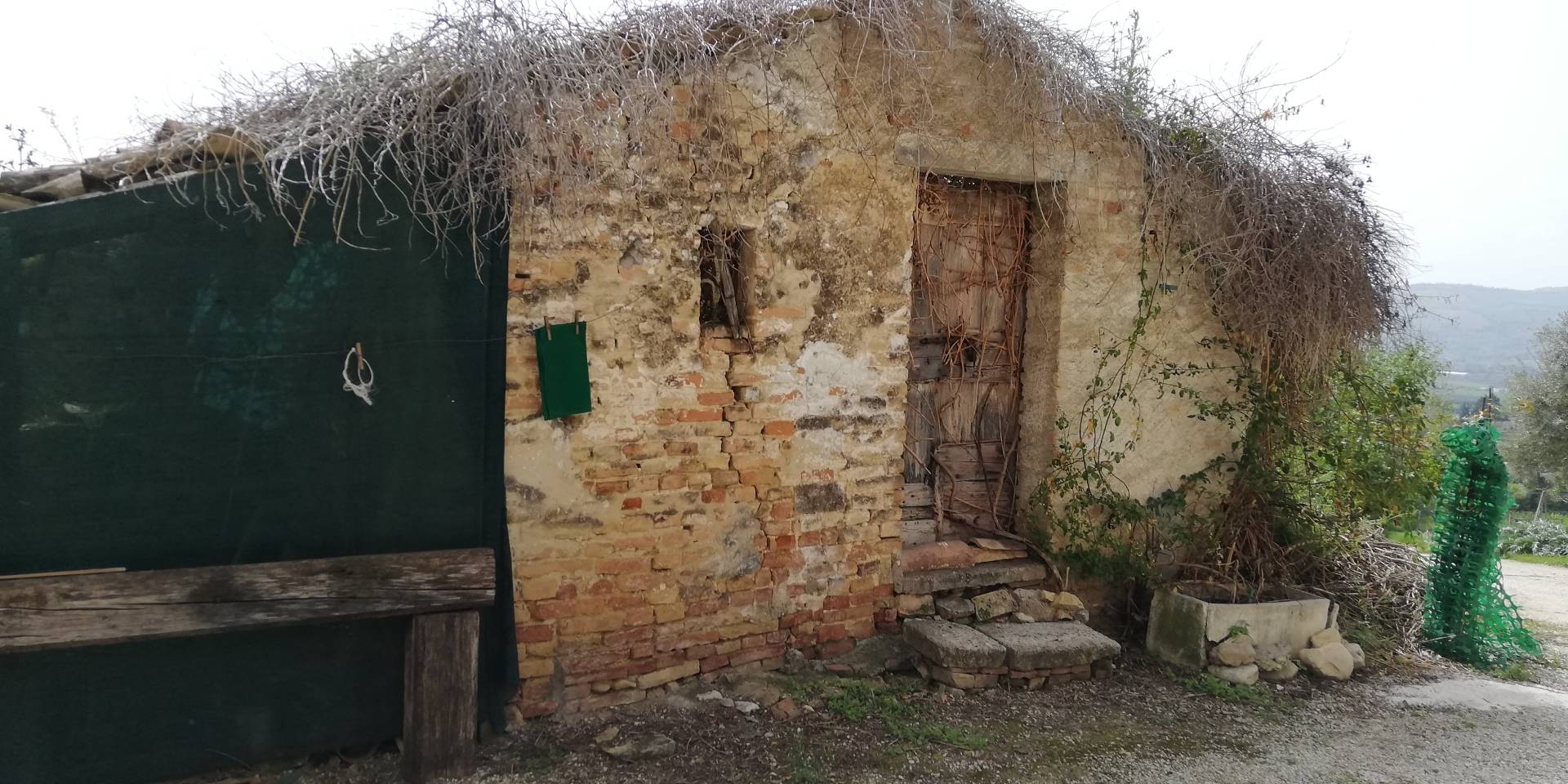 Rustico - Cascina MONSAMPOLO DEL TRONTO vendita  Monsampolo  Oggi Trovo Casa