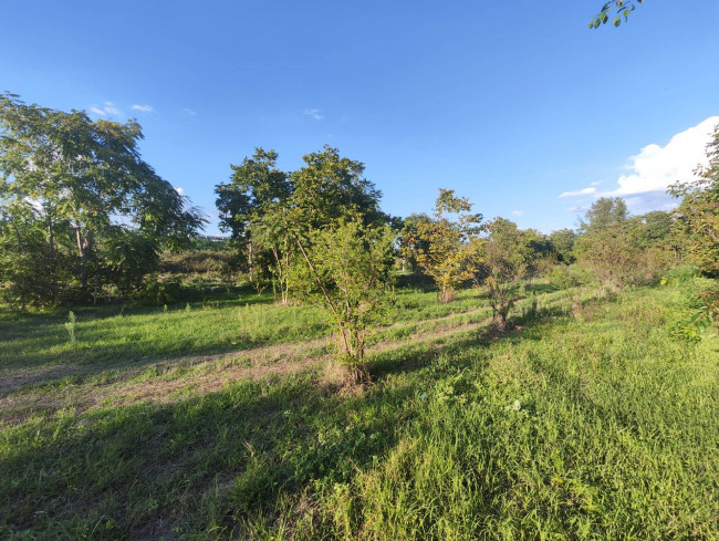 Terreno agricolo in vendita a Sant'anastasia (NA)