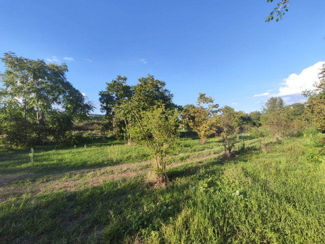 Terreno agricolo in vendita a Sant'anastasia (NA)