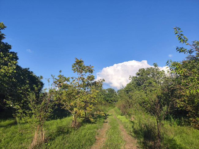 Terreno agricolo in vendita a Sant'anastasia (NA)