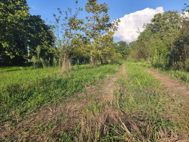 Terreno agricolo in vendita a Sant'anastasia (NA)