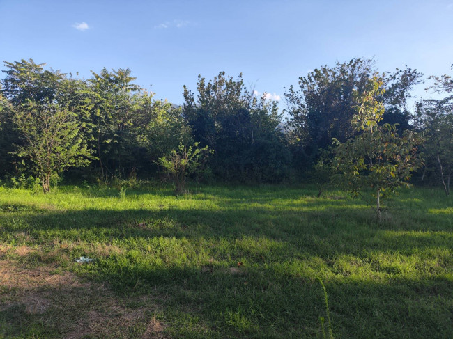 Terreno agricolo in vendita a Sant'anastasia (NA)