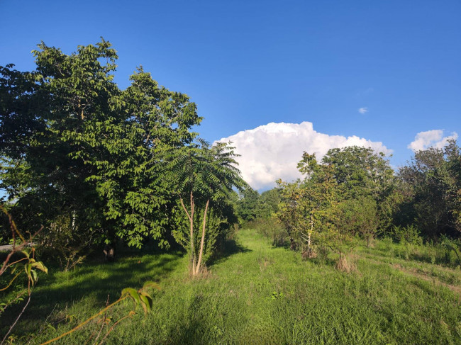 Terreno agricolo in vendita a Sant'anastasia (NA)