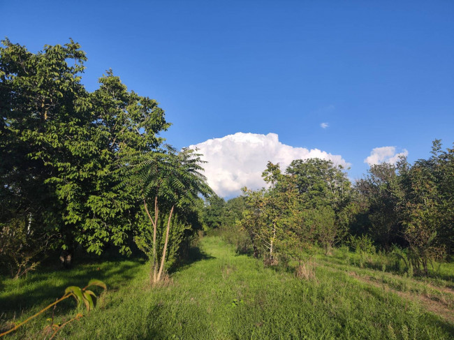 Terreno agricolo in vendita a Sant'anastasia (NA)