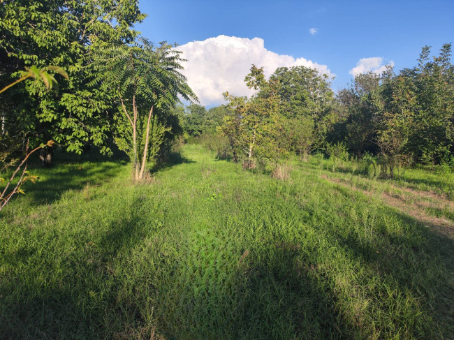 Terreno agricolo in vendita a Sant'anastasia (NA)