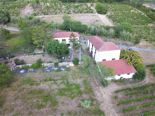 Farmhouse / Estate for Sale to Bistagno
