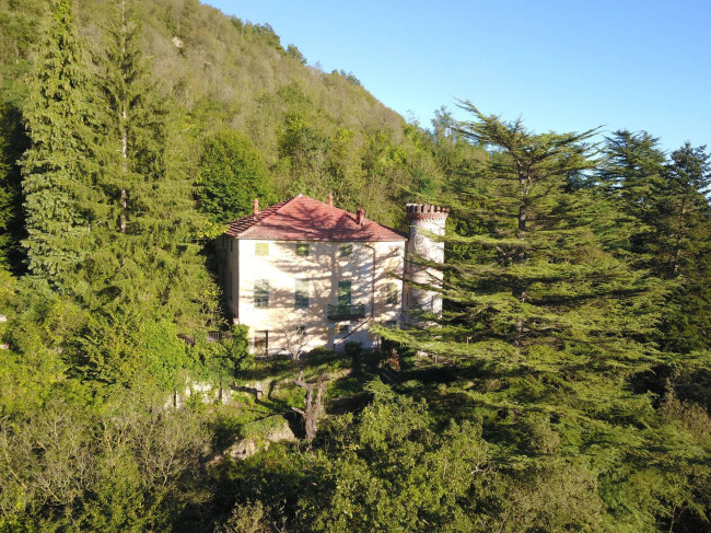 Mansion / Manor House for Sale to Monesiglio