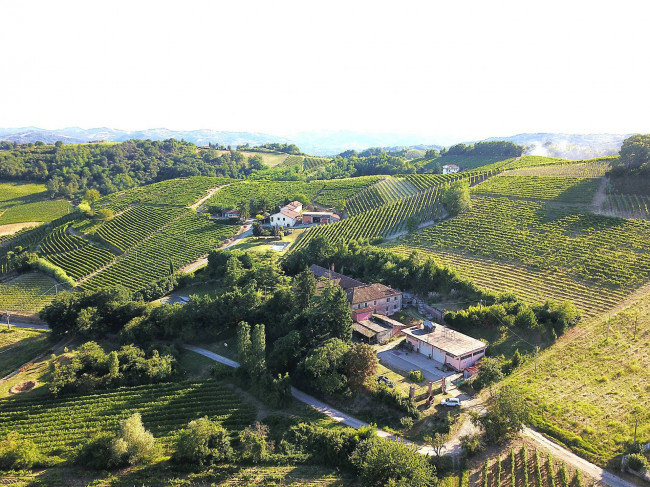 Villa Padronale in Vendita a Strevi