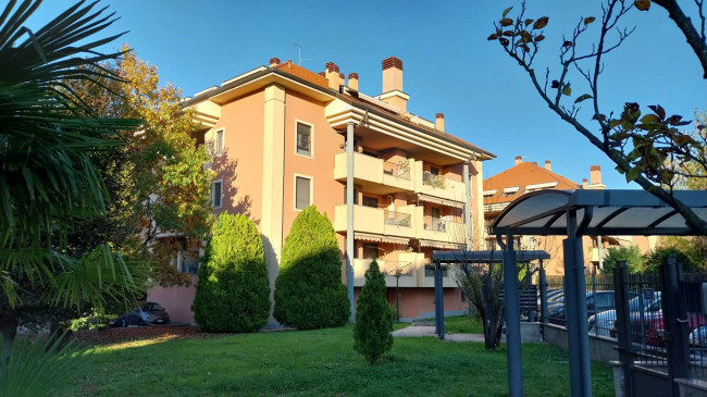 Appartamento in affitto