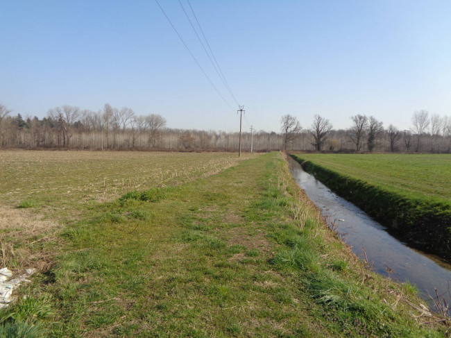 Terreno Agricolo in vendita