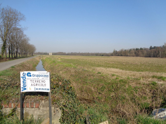Terreno Agricolo in vendita