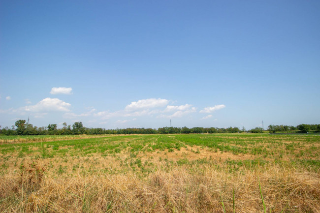 Terreno Agricolo in vendita