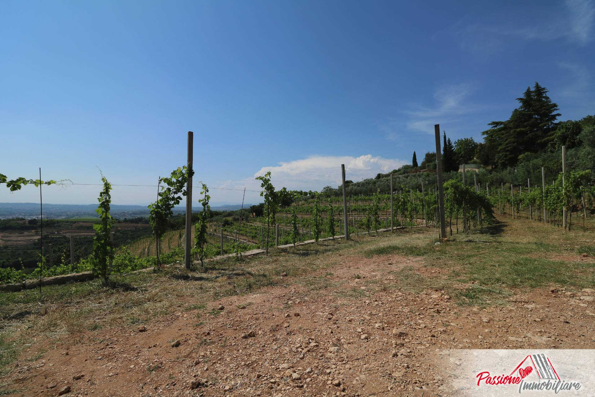 Terreno VERONA vendita  Quinzano  Passione Immobiliare