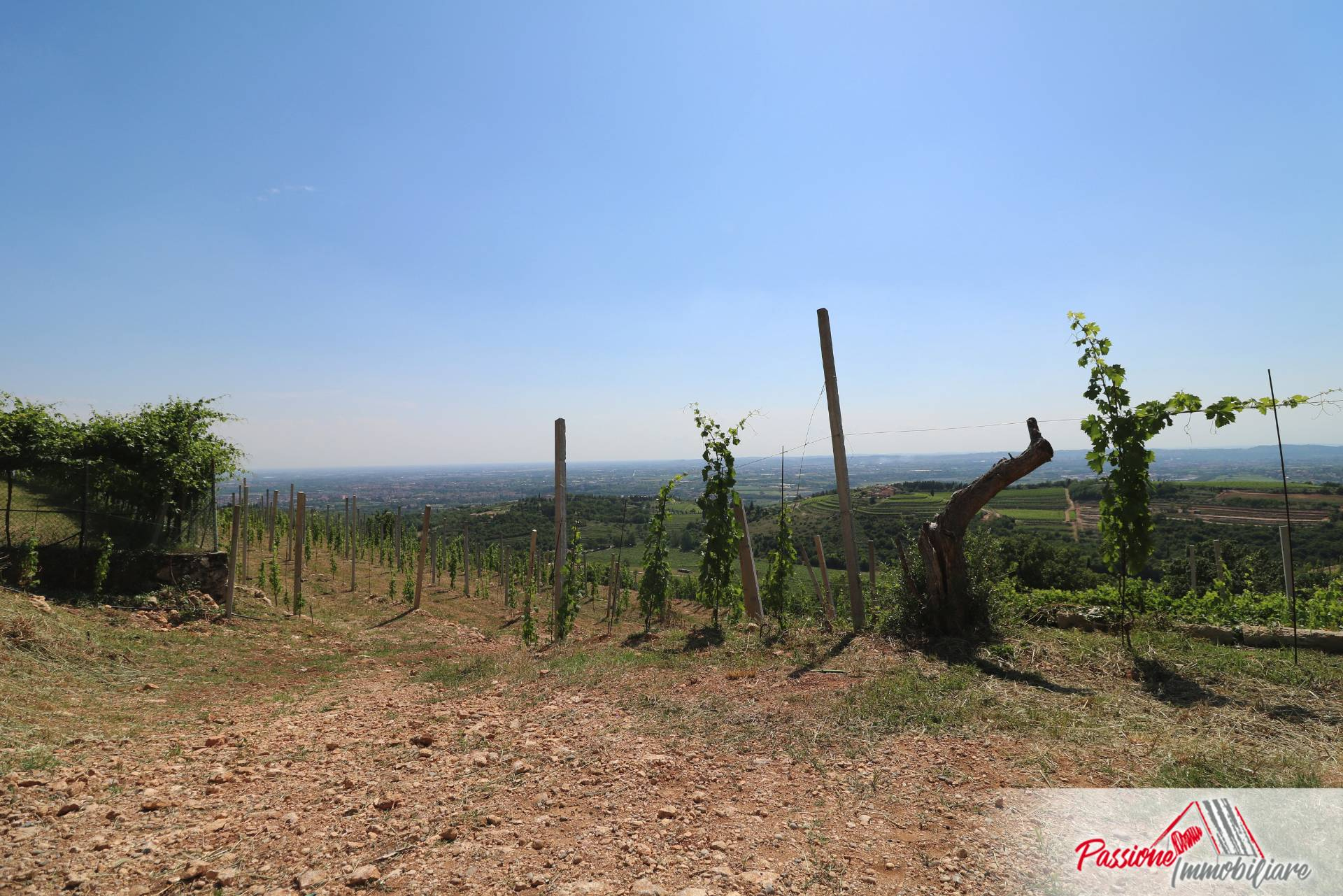 Terreno VERONA vendita  Quinzano  Passione Immobiliare