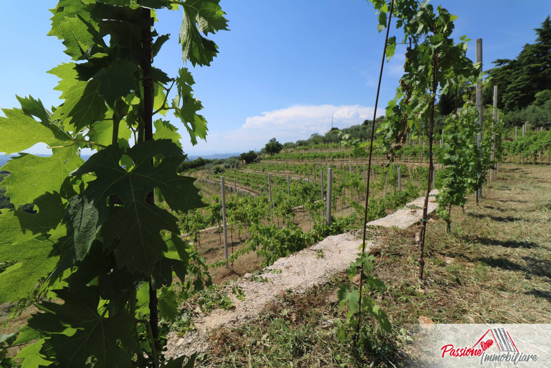 Terreno VERONA vendita  Quinzano  Passione Immobiliare
