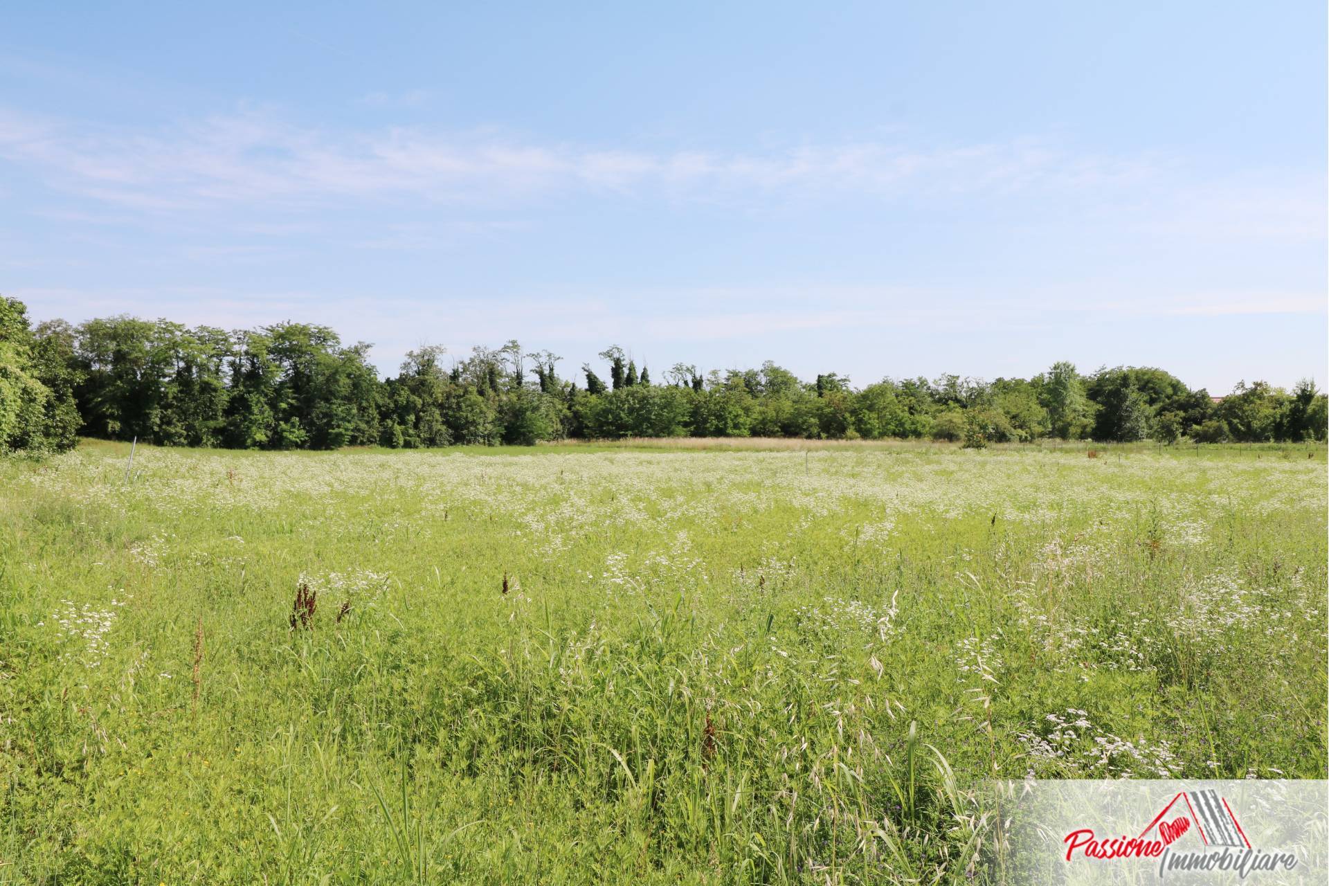 Terreno VERONA vendita  Parona  Passione Immobiliare