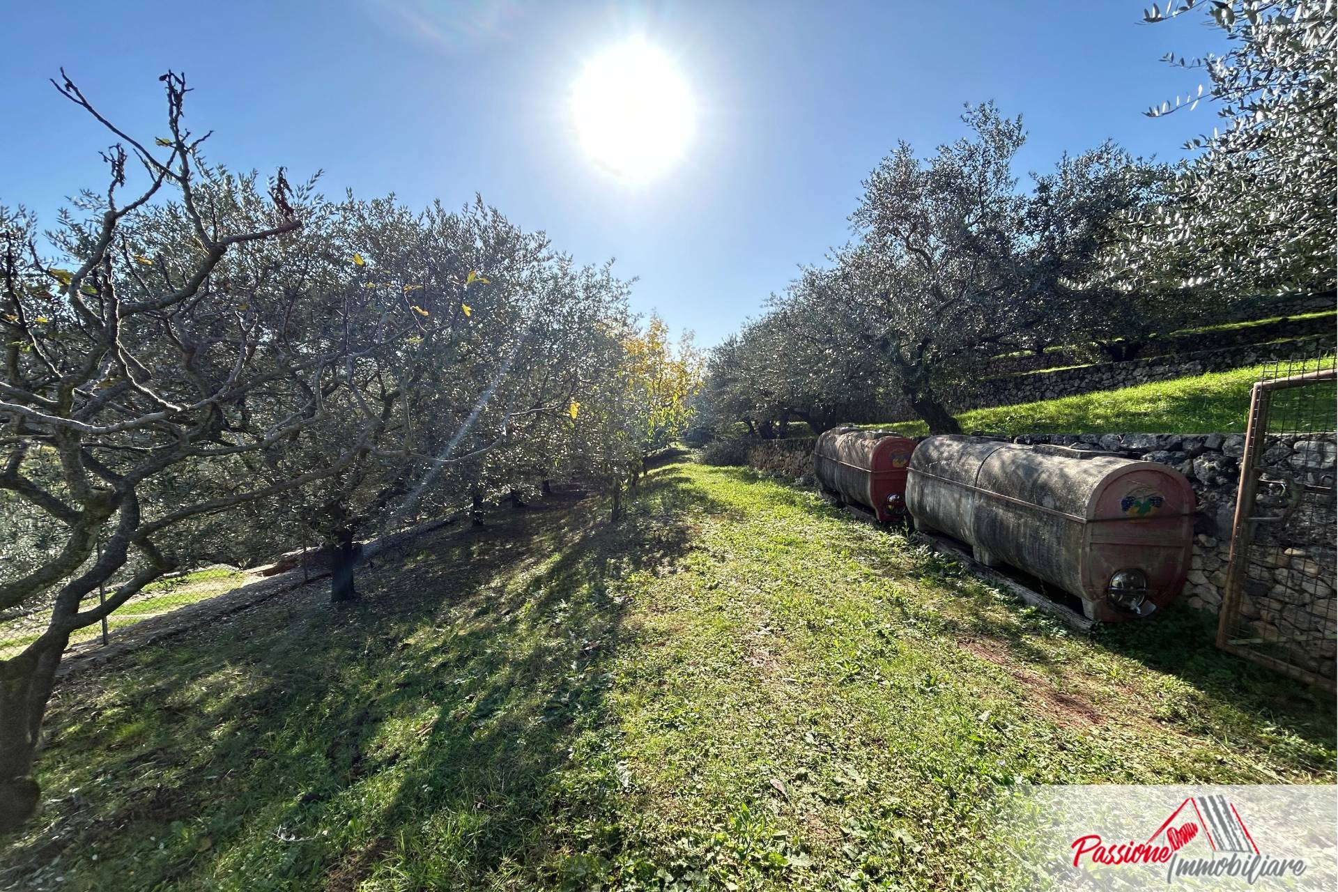 Terreno agricolo in vendita a Avesa, Verona (VR)