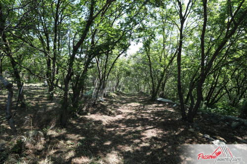 Terreno Agricolo in vendita a Verona