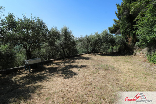 Terreno Agricolo in vendita a Verona