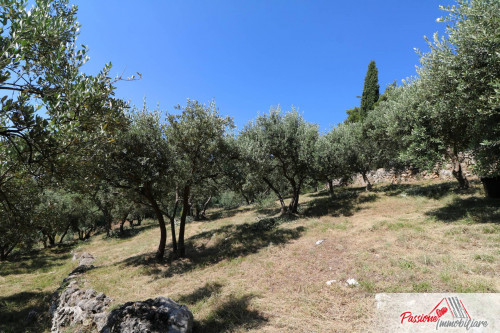 Terreno Agricolo in vendita a Verona