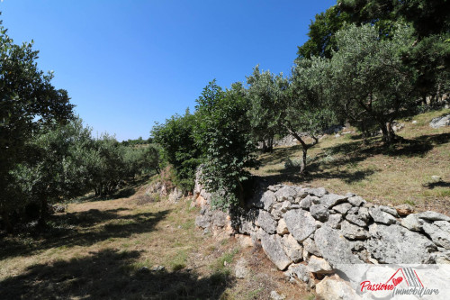 Terreno Agricolo in vendita a Verona