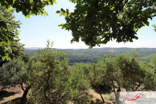 Terreno Agricolo in vendita a Verona