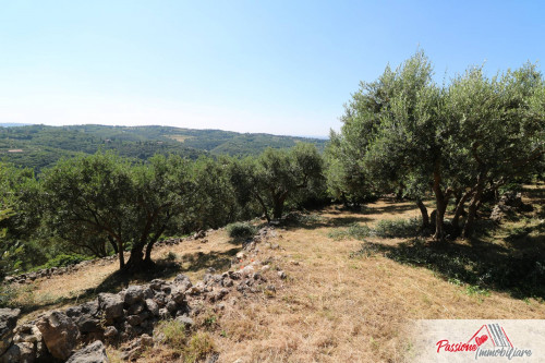 Terreno Agricolo in vendita a Verona