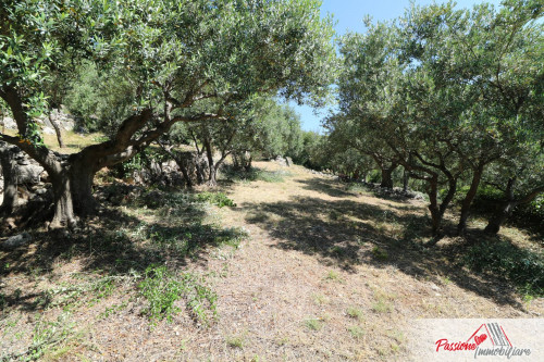 Terreno Agricolo in vendita a Verona