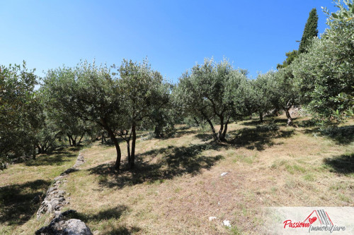 Terreno Agricolo in vendita a Verona