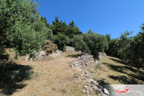 Terreno Agricolo in vendita a Verona