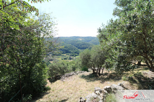 Terreno Agricolo in vendita a Verona