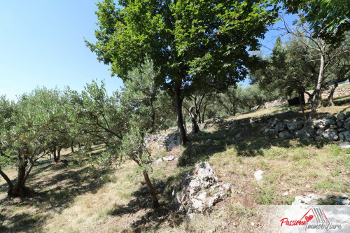 Terreno Agricolo in vendita a Verona