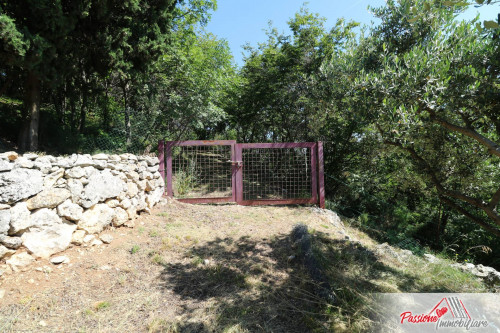 Terreno Agricolo in vendita a Verona