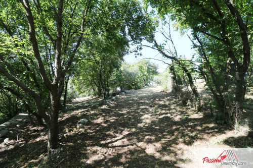 Terreno Agricolo in vendita a Verona