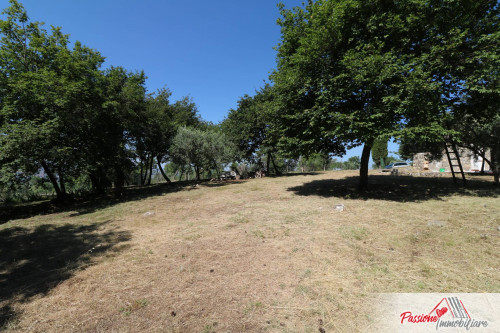 Terreno Agricolo in vendita a Verona