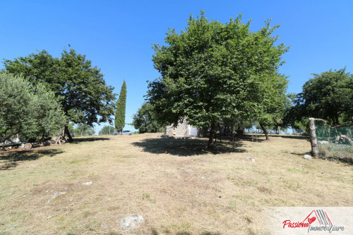 Terreno Agricolo in vendita a Verona