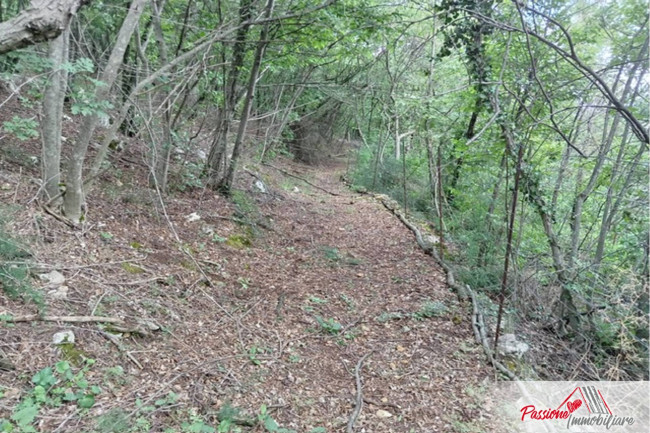 Terreno Agricolo in vendita a Verona