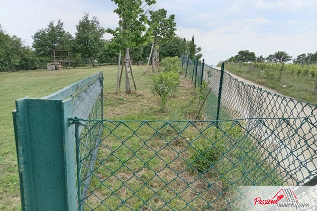 Terreno Agricolo in vendita a Verona