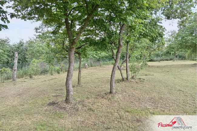 Terreno Agricolo in vendita a Verona